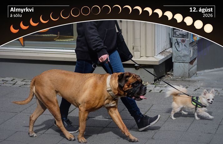 Fréttamynd