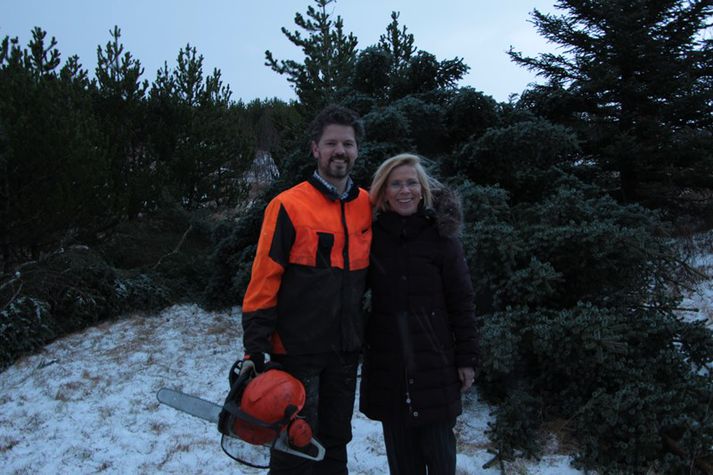 Dagur B. Eggertsson borgarstjóri ásamt Cecilie Landsverk, sendiherra Noregs á Íslandi, við grenitréð sem fellt var við Rauðavatn í dag.