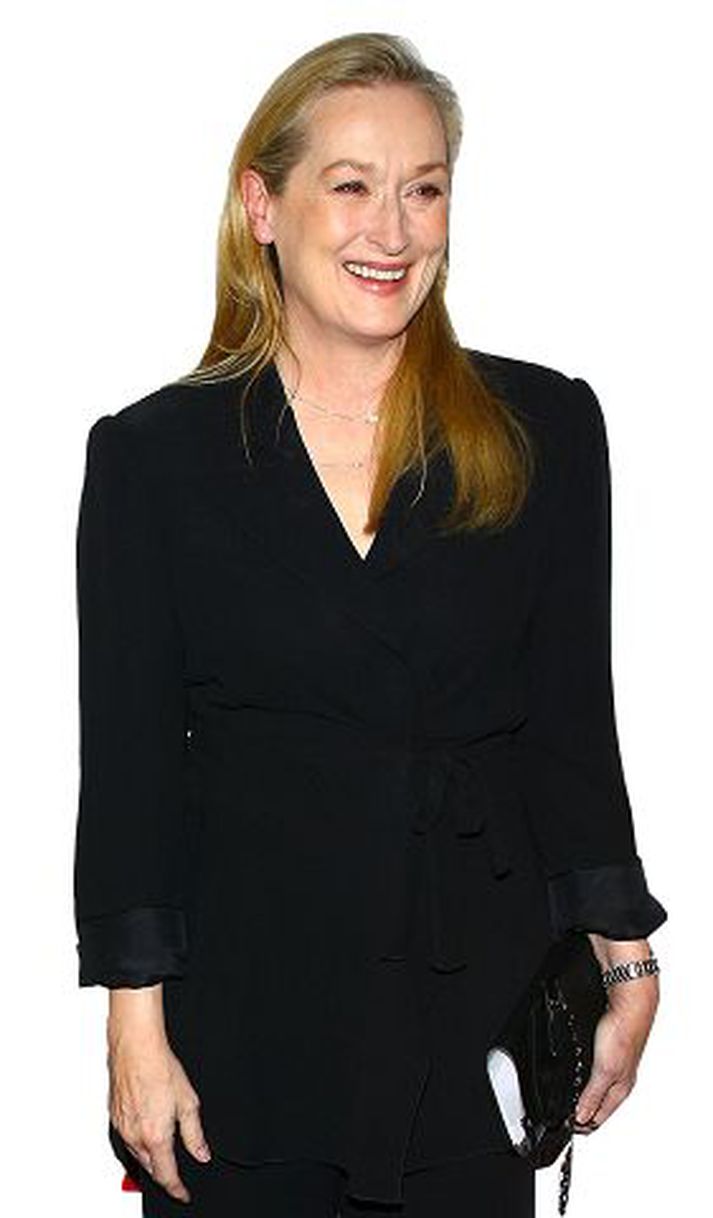 Sharon Stone sagði Meryl Streep líta út eins og óumbúið rúm, hún sé eins og húsmóðir sem konur samsvari sig við.
