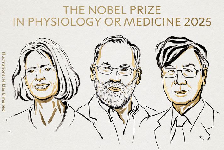 Mary E. Brunkow starfar við Institute for Systems Biology í Seattle í Bandaríkjunum, Fred Ramsdell við Sonoma Biotherapeutics í San Francisco í Bandríkjunum og Shimon Sakaguchi við Háskólann í Osaka.