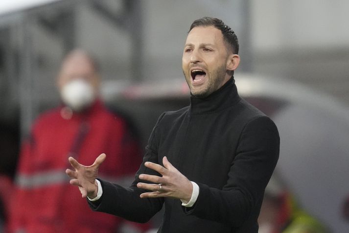 Domenico Tedesco er tekinn við belgíska landsliðinu í fótbolta.