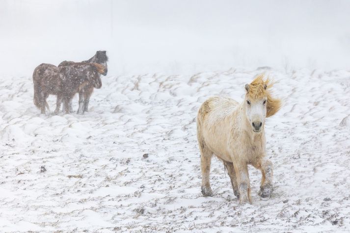 Hiti á landinu verður tvö til sjö stig, en hiti verður um frostmark norðvestantil.