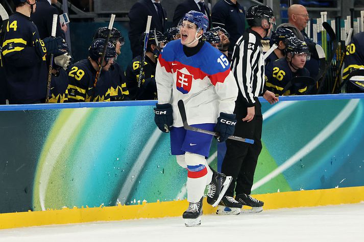Dalibor Dvorsky fagnaði vel eftir markið dýrmæta sem hann skoraði gegn Svíum.