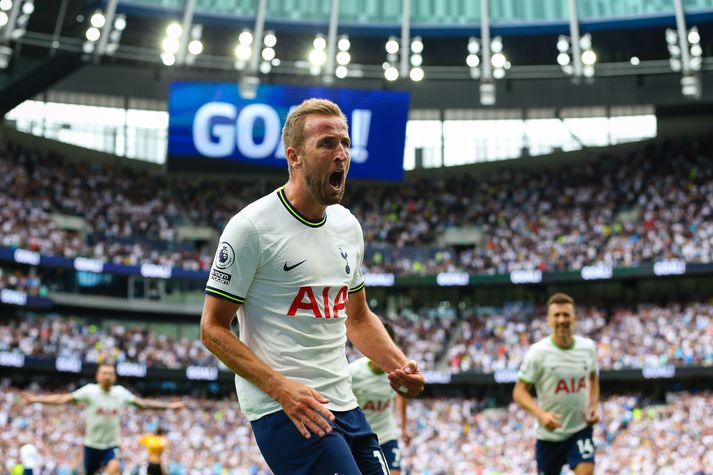 Stuðningsmenn Tottenham ættu að vera orðnir vanir þvi að sjá Harry Kane fagna mörkum.