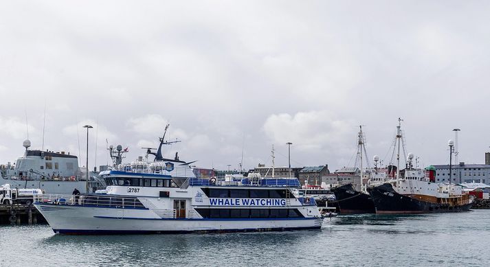 Í tilkynningu frá samtökunum segir að umfang hvalaskoðunar og þjóðhagslegs mikilvægi þeirra hafi vaxið á undanförnum árum.