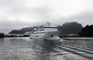 Fréttamynd