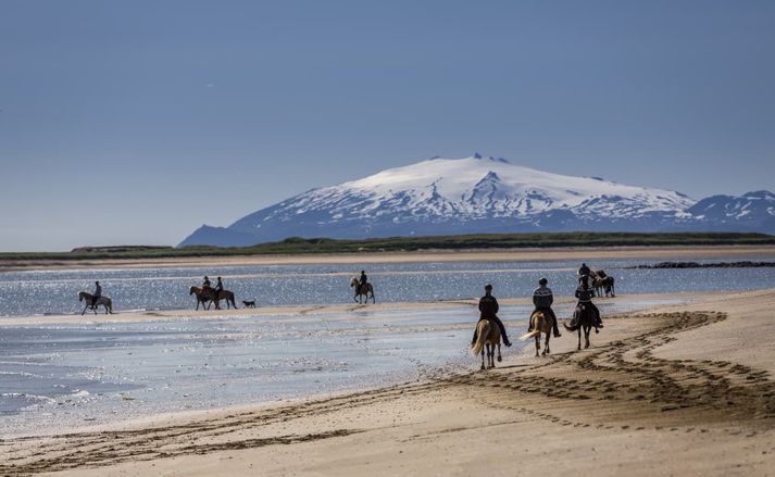 Löngufjörur á Snæfellsnesi með Snæfellsjökul í baksýn.