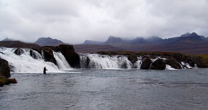 Metveiði hefur verið í Breiðdalsá síðustu tvö ár. Laxveiðitímabilið er frá 1. júlí til 30. september og mun dagurinn kosta frá tæpum 40 þúsund krónum upp í tæpar 140 þúsund. Silungsveiðin hefst 1. maí og stendur til 30. september og kostar stöngin frá 15 þúsund upp í 25 þúsund. Frá og með júlí er nokkur laxavon á silungasvæðinu.mynd/Magnús Jónasson
