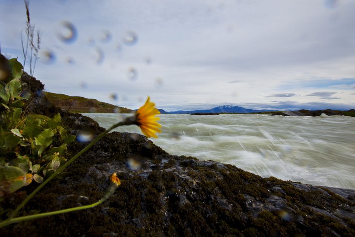 Miklir hagsmunir liggja í því hvort svæði verði nýtt til verndar eða nýtingar. 