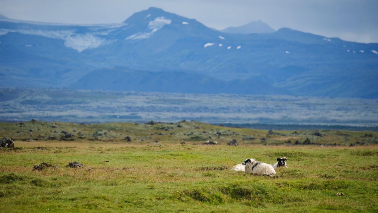 Fólki ráð­lagt að fylgjast vel með veður­spám