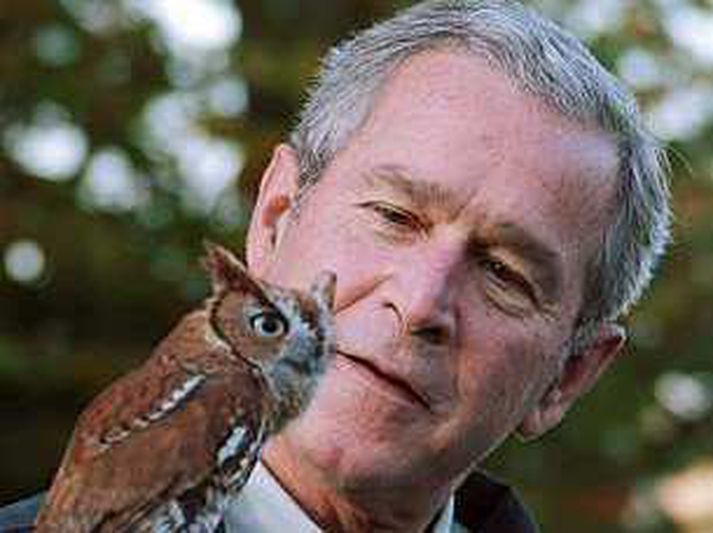 Bush fordæmir steranotkun hafnaboltarmanna.