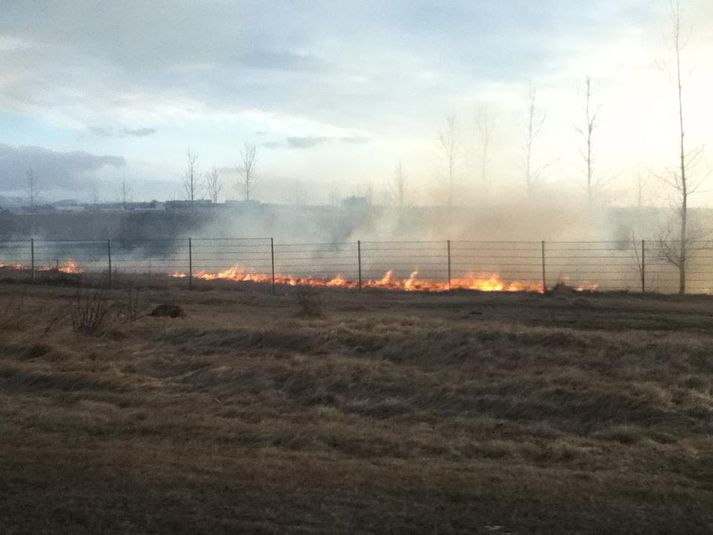 Eldurinn í Gufuneskirkjugarði