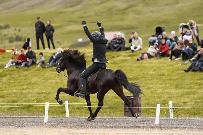 Hvert metið á fætur öðru hefur fallið á kynbótabrautinni á Landsmótinu og er það mál manna að hestakostur hafi sjaldan eða aldrei verið betri.