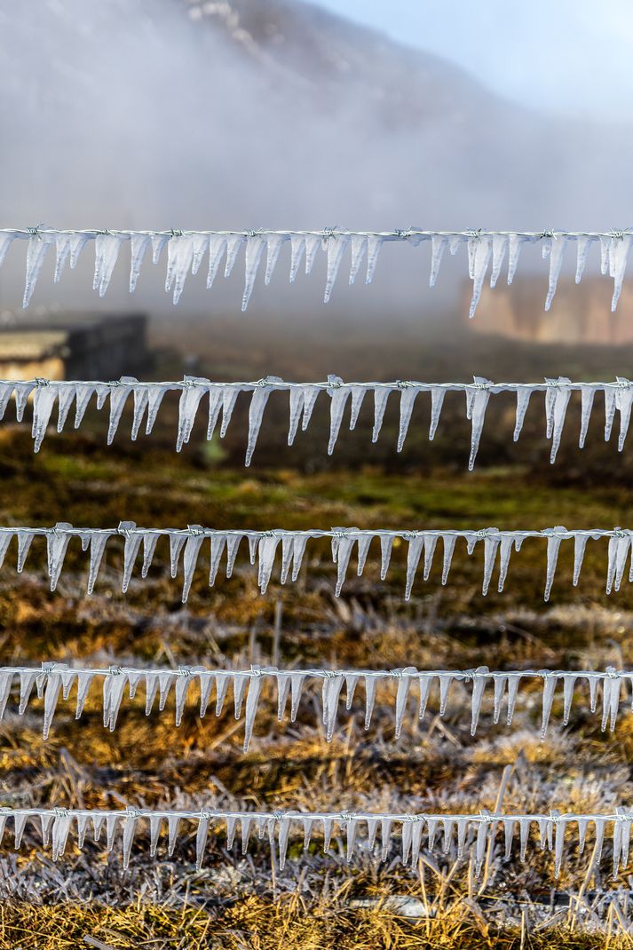 Frost á Laugarvatni