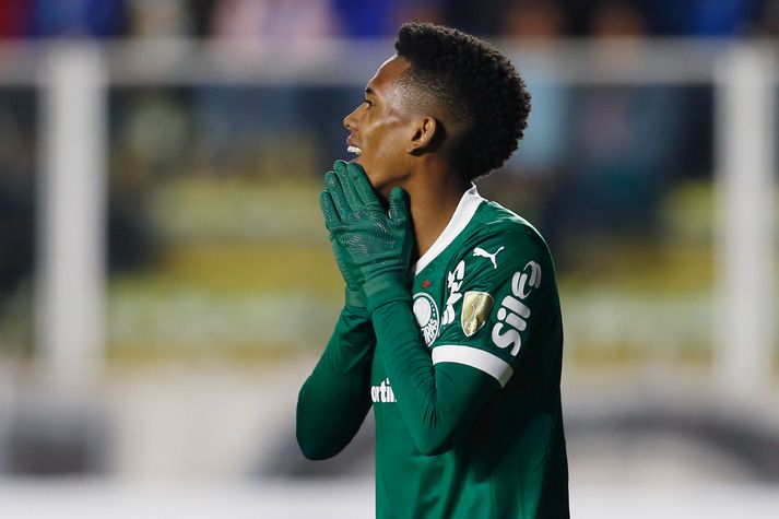 Estevao Willian skoraði fyrir Palmeiras en þurfti seina að yfirgefa völlinn.