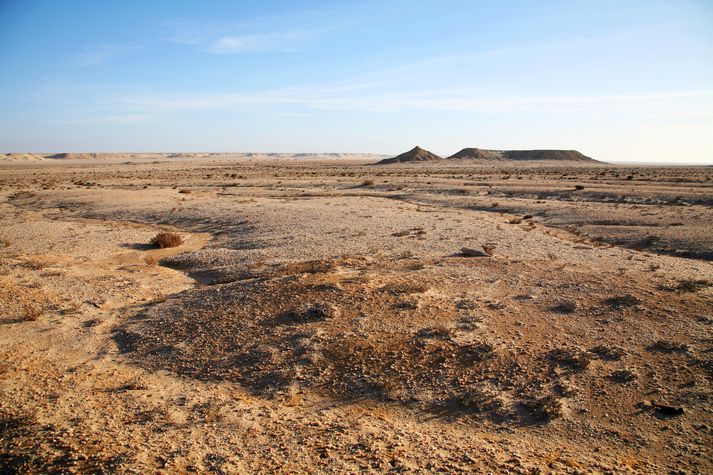 Vestur-Sahara.