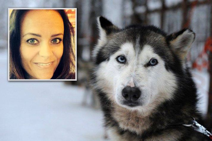 Kolbrún Ýr Árnadóttir furðar sig á því hvers vegna ekkert hundaeftirlit sé virkt um helgar.