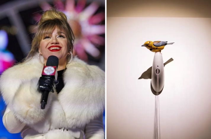 Kelly Clarkson brást ókvæða við þegar henni var tjáð að hún gæti ekki keypt þennan vélræna fugl.