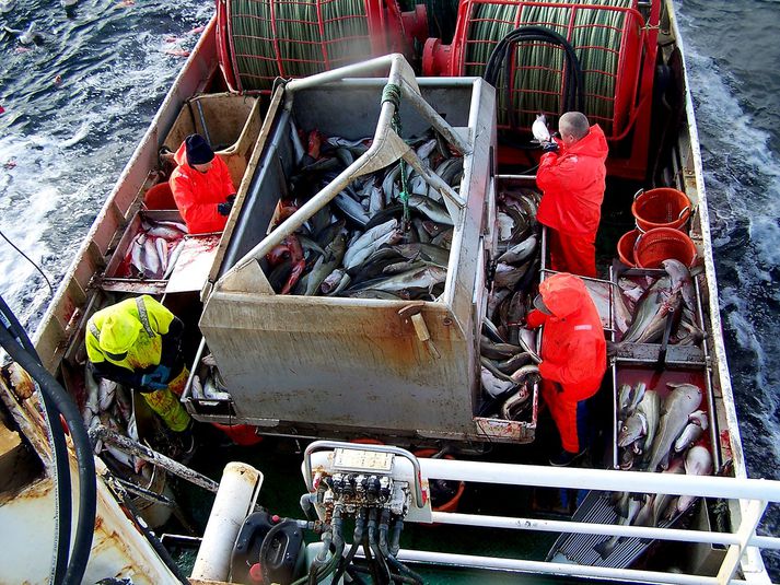 Sjómenn hafa verið samningslausir frá því í ársbyrjun 2011. Þá hefur greint á við útgerðarmenn um hluti á borð við mönnun og þátttöku í kostnaði við útgerðina.