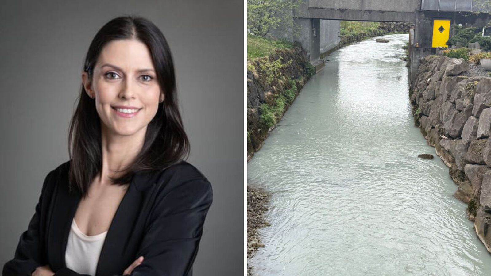 Ekkert sem bendi til fækkunar fugla við Varm­á