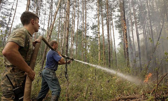 Tuttugu prósent af hveitiuppskeru Rússlands hafa eyðilagst í skógareldunum.nordicphotos/AFP