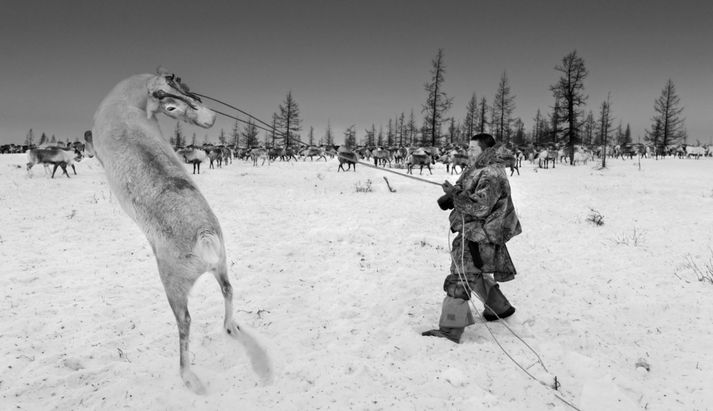 RAX heimsótti túndruna í Síberíu.