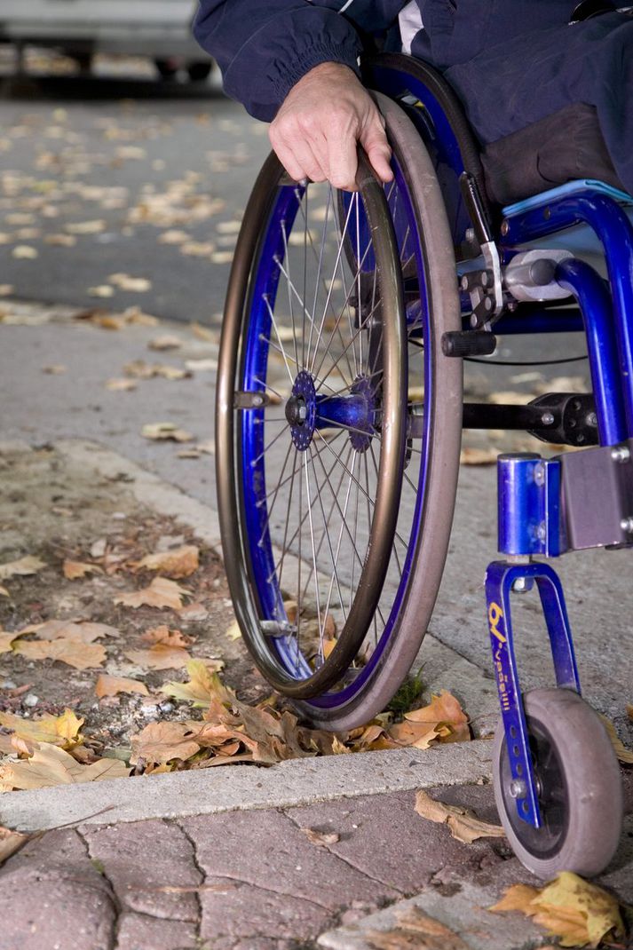 Vilja aðgengi. NORDICPHOTOS/GETTY