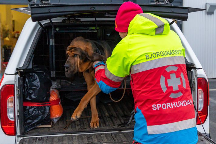 Sporhundar eru meðal þeirra sem kallaðir hafa verið út í leitina.