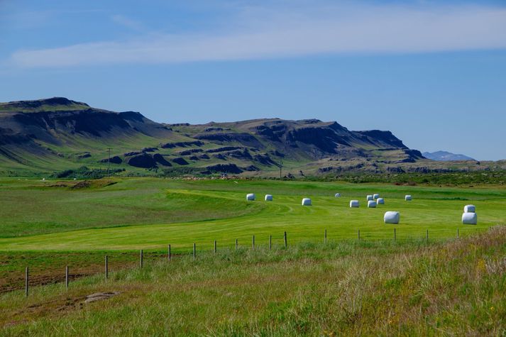 Þau eru falleg túnin í Borgarfirði en svo virðist sem heiti þeirra eða örnefni hafi ráðið því að tvö þeirra rötuðu í kröfugerð ríkisins.