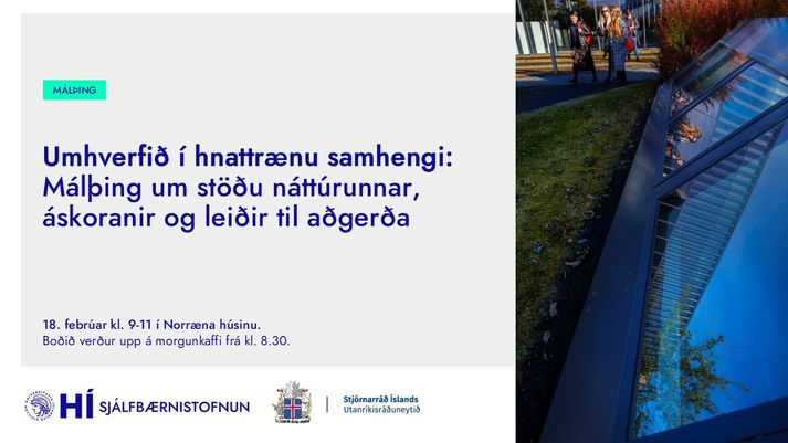 Umhverfið í hnattrænu samhengi - mynd