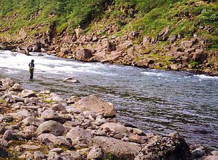 Hofsá í Vopnafirði