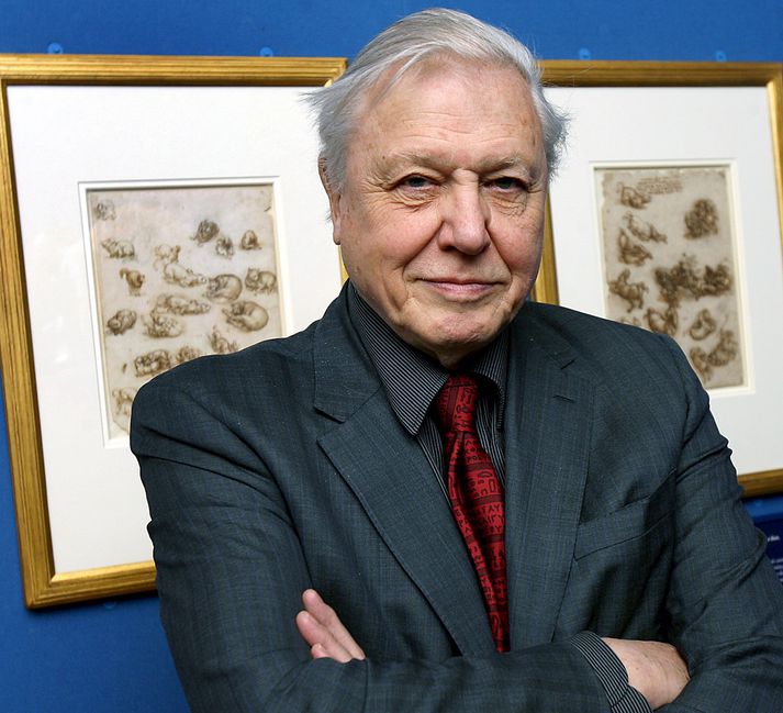 Attenborough er nú að kynna nýja þáttaröð sína, Planet Earth 2, sem beðið er eftir með mikilli eftirvæntingu.