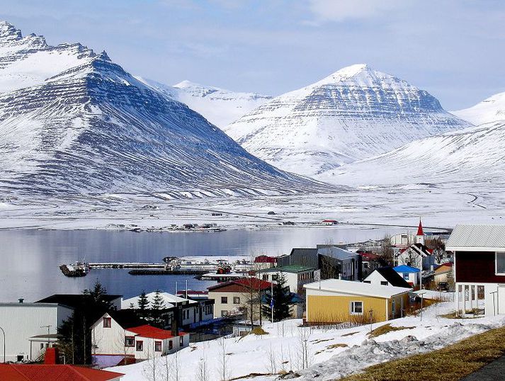 Tveir veiðiþjófar voru handteknir af lögreglunni á Fáskrúðsfirði eftir að hafa drepið hreindýr.