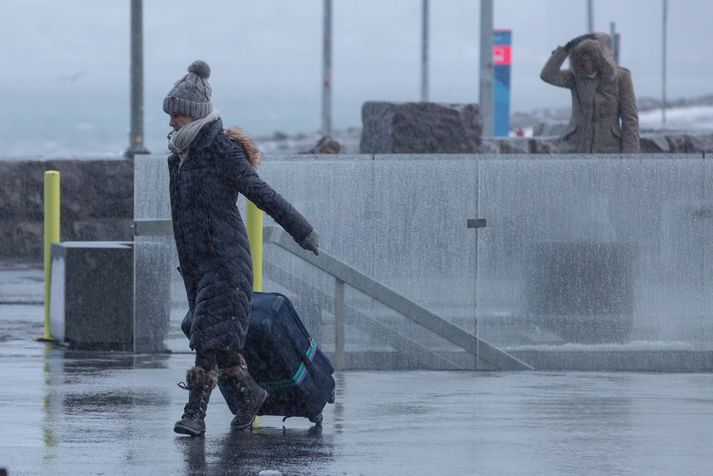 Vegir eru að mestu greiðfærir en þó er nokkur hálka á Norðaustur- og Austurlandi.