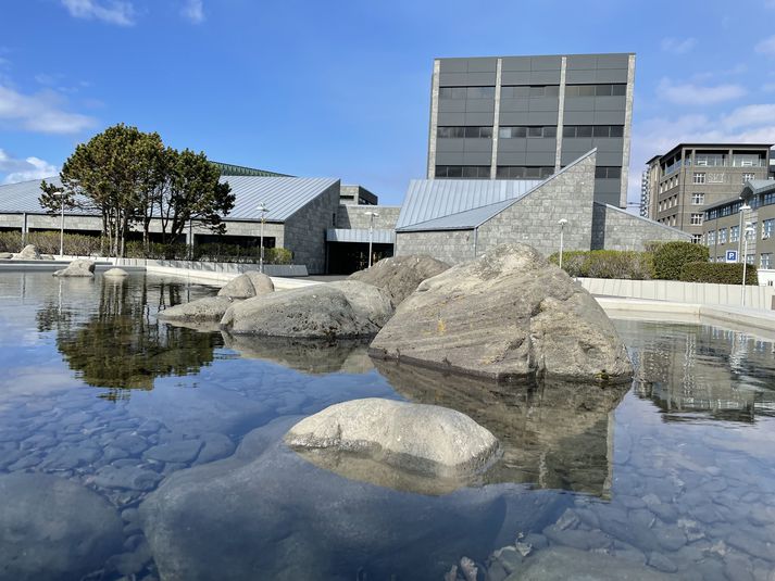 Seðlabankastjóri gegnir formennsku í fjármálastöðugleikanefnd og peningastefnunefnd. Nái áformin fram að ganga mun hann einnig gegna formennsku í fjármálaeftirlitsnefnd. 