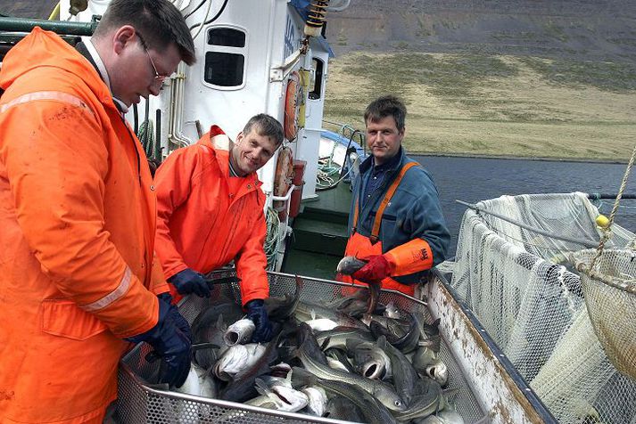 Þorskeldi hefur verið stundað í nokkrum innfjörðum Ísafjarðardjúps í tíu ár. Nú vilja menn víkka út með eldi á regnbogasilungi og laxi.