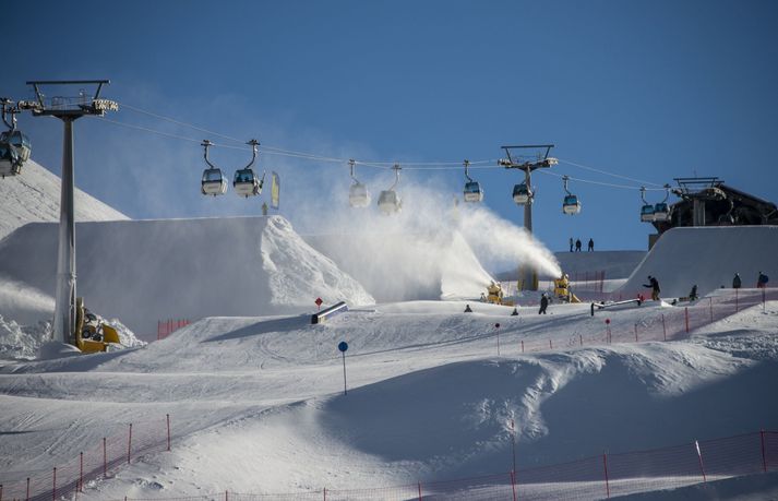 Fjölskyldan, sem telur þrettán manns, var á leið til Madonna di Campiglio á Norður-Ítalíu.