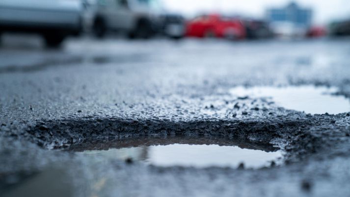 Malbiksskemmdirnar eru gríðarlegar þetta vorið að sögn Þorvarðar.