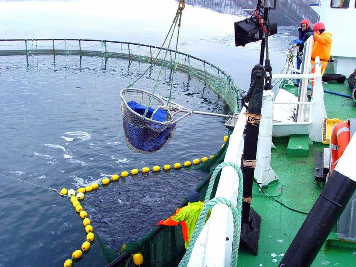 Ásthildur Sturludóttir, bæjarstjóri Vesturbyggðar, fagnar samkomulaginu.
