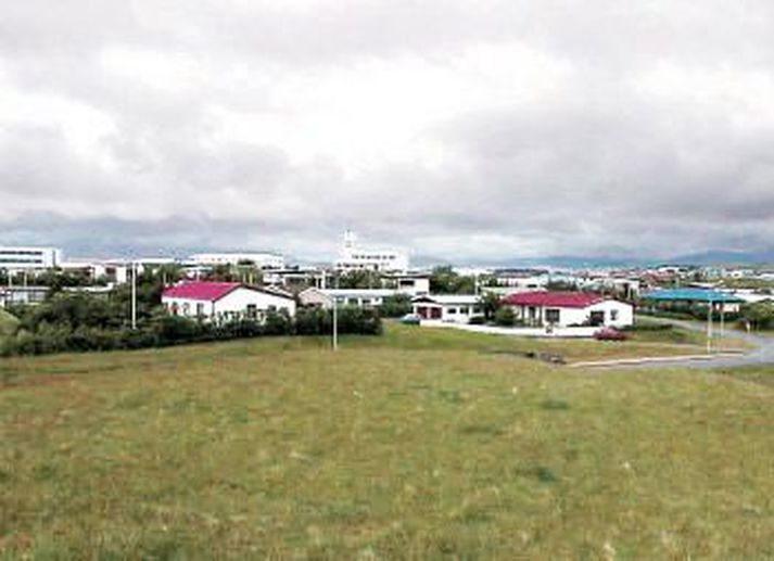 Frá Höfn í Hornafirði.