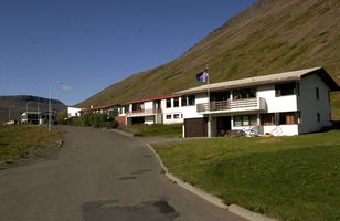 Fréttamynd