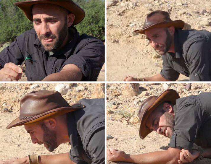 Coyote Peterson er harður nagli