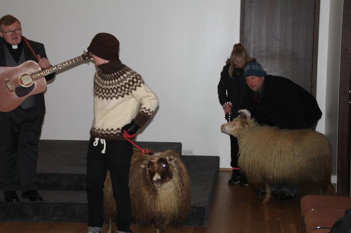 Sóknarprestur Lindakirkju, Guðmundur Karl með gítarinn og tvær af kindunum, sem tóku þátt í jólaballi dagsins.