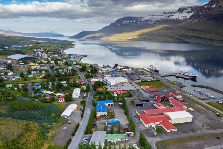 Manninum er meðal annars gefið að sök að hafa ráðist á lækni á heilsugæslunni á Reyðarfirði.