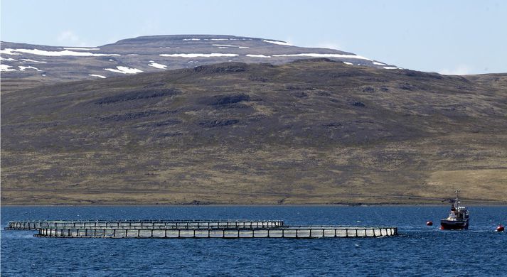 Vistfræðingur kallar eftir auknu eftirliti með fiskeldi.