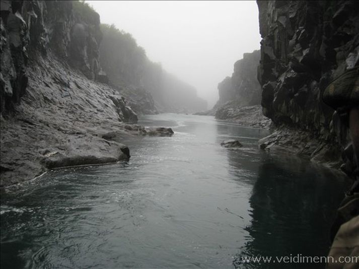Veiðistaðurinn Steinbogi í Jöklu.  Þar hafa margir stórir komið upp í sumar.