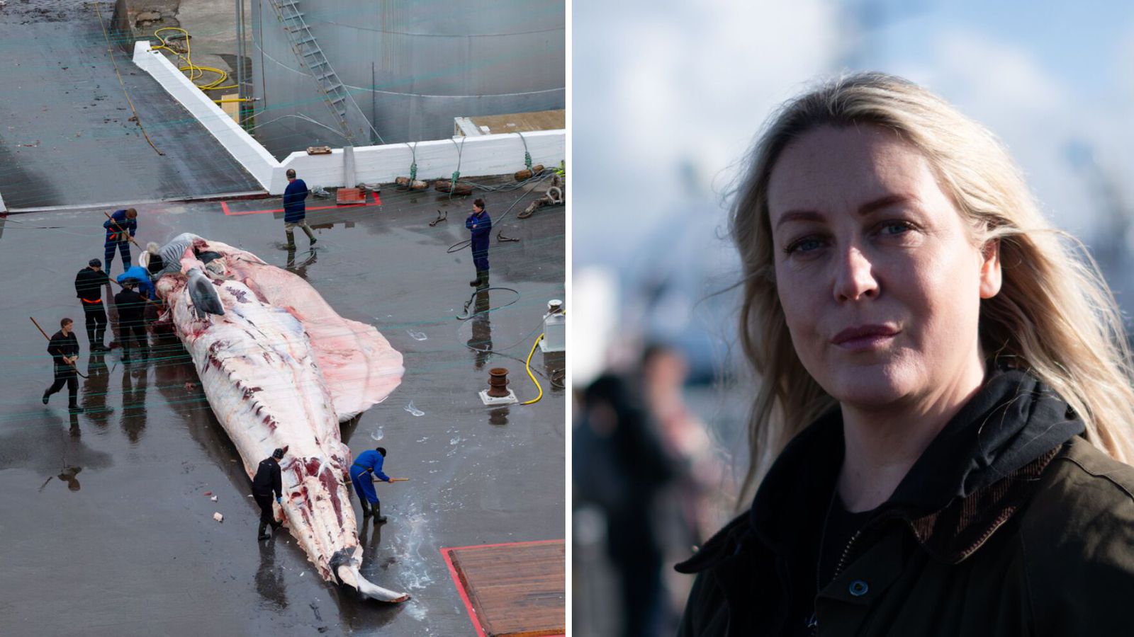 Hafa ekki gefið Land­helgis­gæslunni upp stað­setningu Bandero