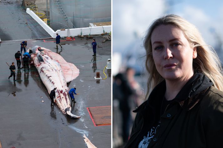 Valgerður Árnadóttir er formaður Hvalavina og hún hefur áhyggjur af komu skipsins Bandero.