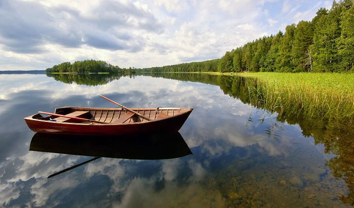 Brotin áttu sér öll stað í Norður-Karelíu í austurhluta Finnlands, á árunum 2007 til 2014. Myndin tengist fréttinni ekki beint.