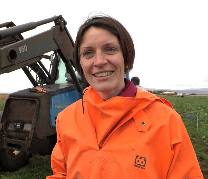 Fjóla Signý, sem stefnir á að taka upp um tuttugu tonn af Sandvíkurrófum á næstunni.